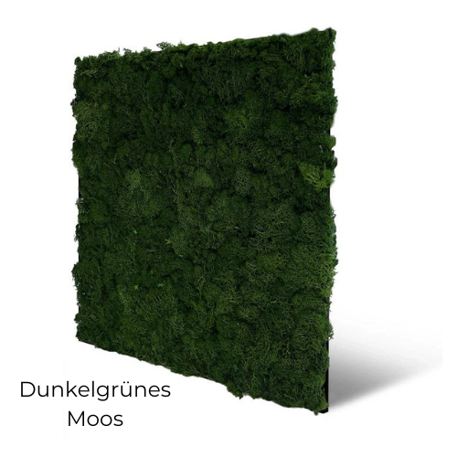 Dunkelgrünes Echtmoos