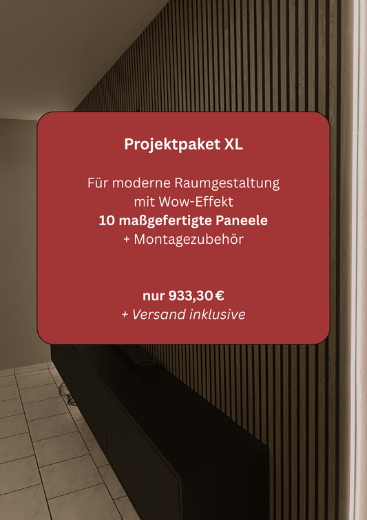 Projektpaket M mit 5 maßgefertigten Akustikpaneelen und Montagezubehör