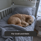 SleepOUT Kühldecke